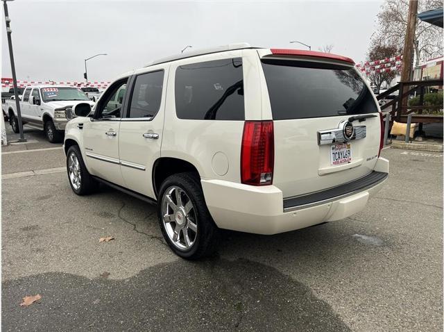 used 2014 Cadillac Escalade car, priced at $24,995