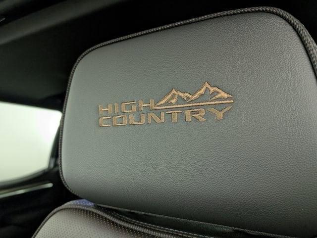 new 2025 Chevrolet Silverado 1500 car, priced at $68,614