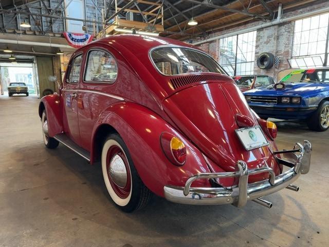 used 1961 Volkswagen Beetle (Pre-1980) car, priced at $19,996