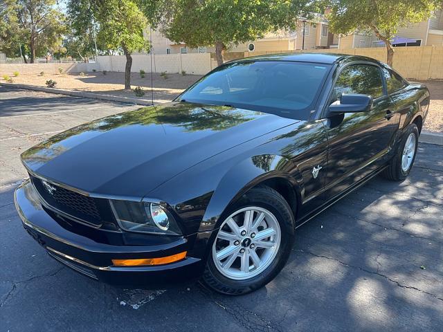 used 2009 Ford Mustang car