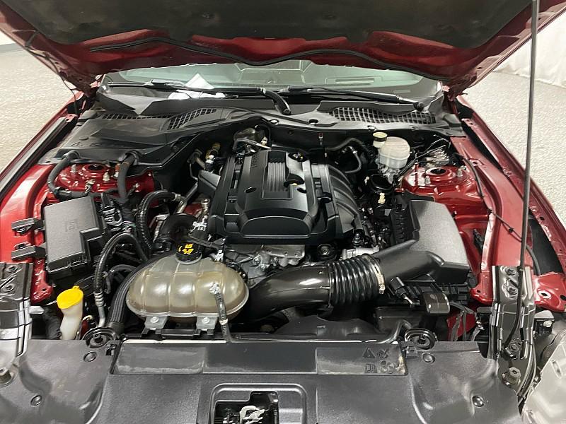 used 2019 Ford Mustang car, priced at $18,491