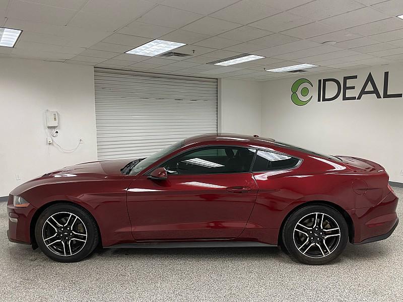 used 2019 Ford Mustang car, priced at $18,491