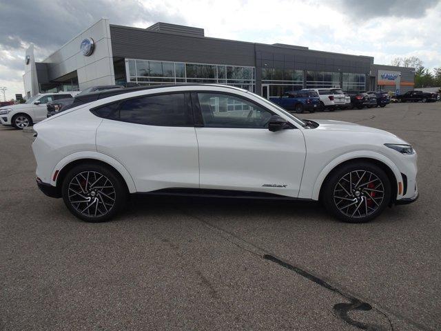 new 2022 Ford Mustang Mach-E car, priced at $59,995