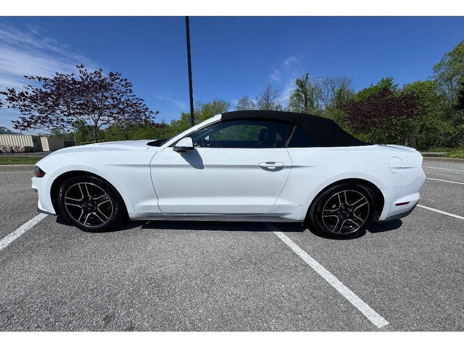 used 2020 Ford Mustang car, priced at $25,990