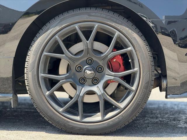 used 2019 Ford Mustang car, priced at $19,995