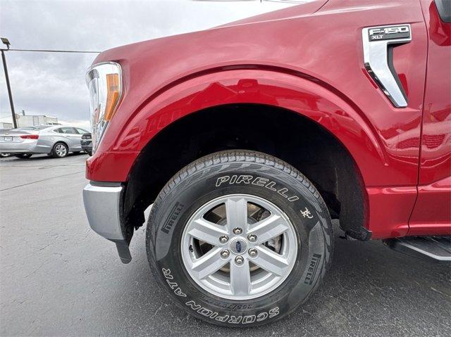 used 2021 Ford F-150 car, priced at $31,988