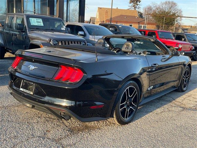 used 2022 Ford Mustang car