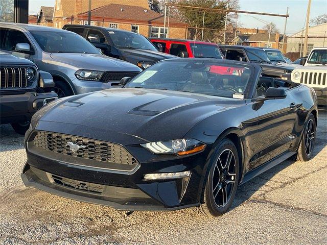 used 2022 Ford Mustang car