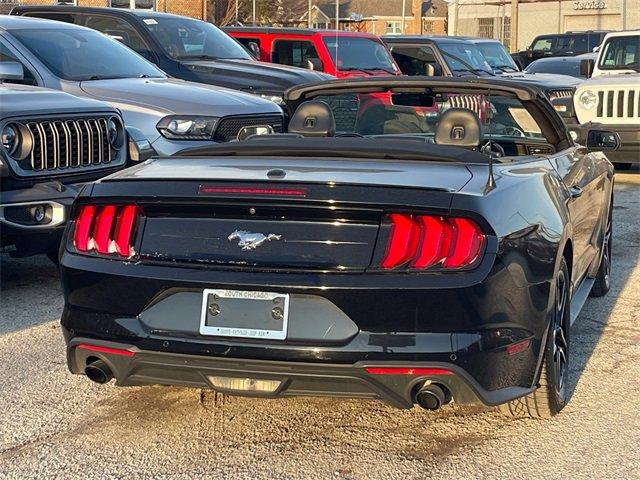 used 2022 Ford Mustang car