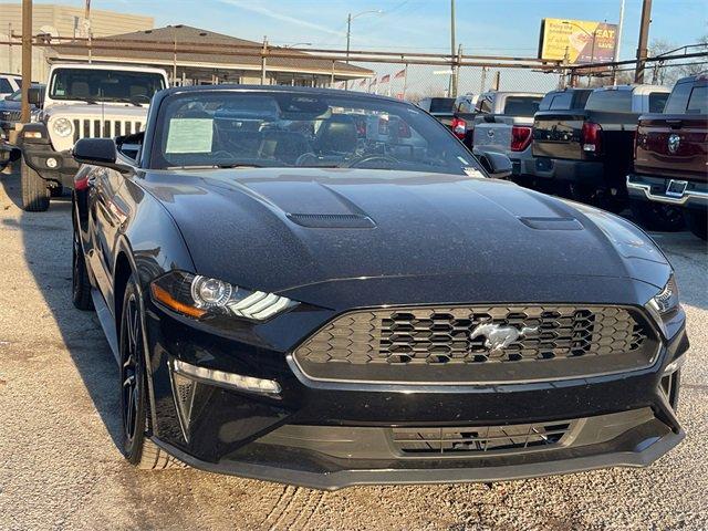 used 2022 Ford Mustang car