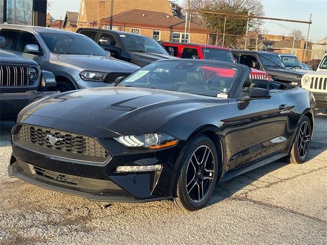 used 2022 Ford Mustang car