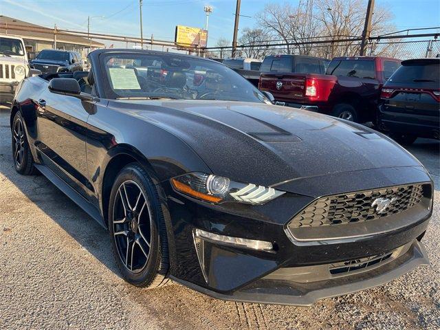 used 2022 Ford Mustang car