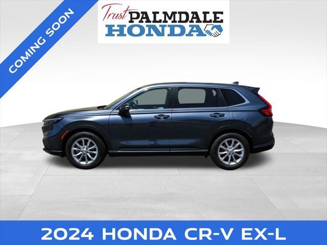 used 2024 Honda CR-V car