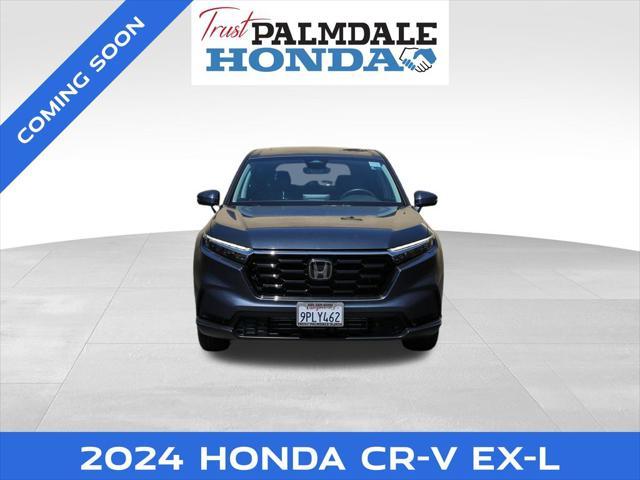 used 2024 Honda CR-V car