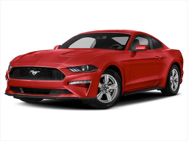 used 2019 Ford Mustang car