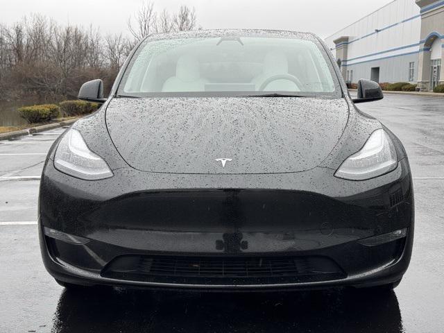 used 2021 Tesla Model Y car, priced at $30,000