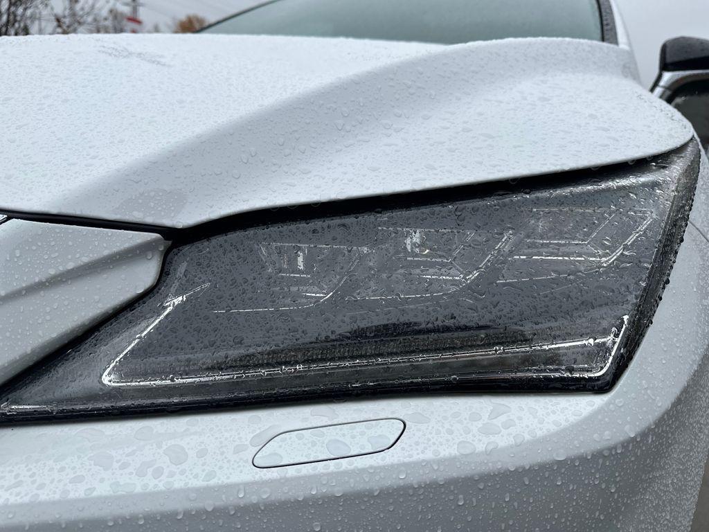 used 2019 Lexus RX 350 car, priced at $29,537