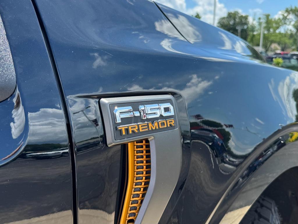 new 2025 Ford F-150 car, priced at $81,135