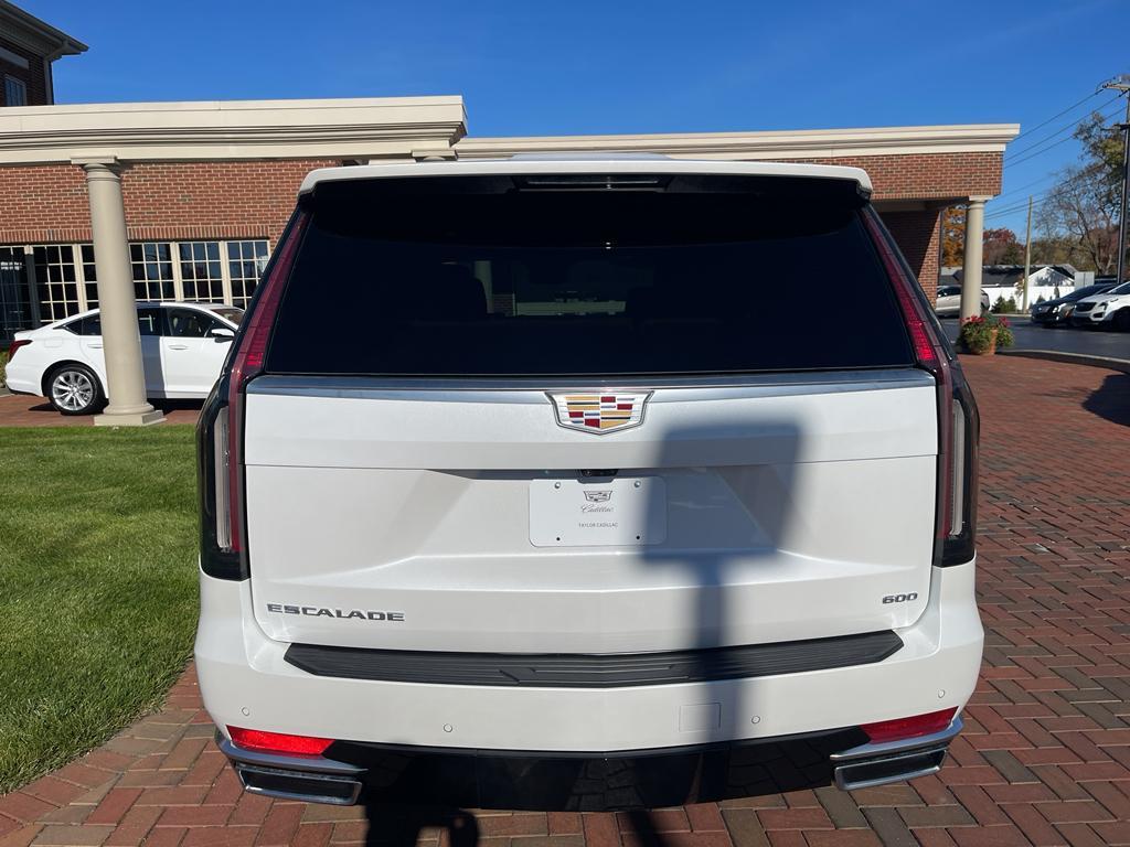 used 2021 Cadillac Escalade car, priced at $79,900