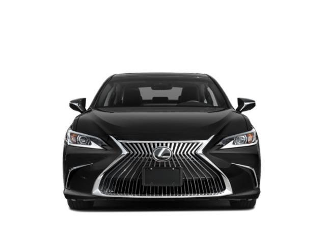 used 2019 Lexus ES 350 car