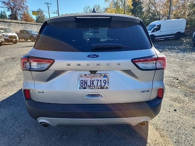 used 2020 Ford Escape car, priced at $19,000