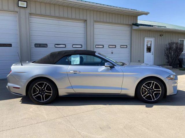 used 2022 Ford Mustang car, priced at $24,900