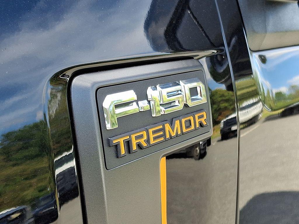 new 2025 Ford F-150 car, priced at $75,000