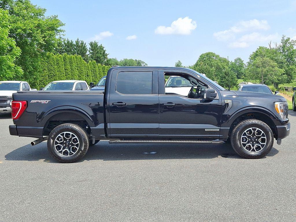 used 2023 Ford F-150 car, priced at $37,500