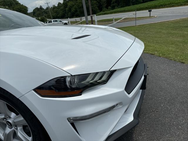 used 2019 Ford Mustang car, priced at $22,500