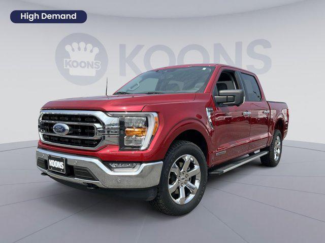 used 2022 Ford F-150 car, priced at $34,500