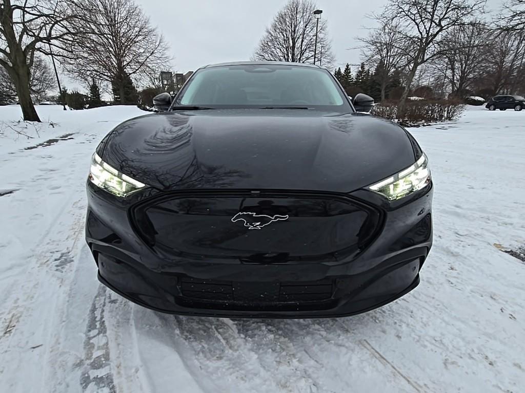 used 2024 Ford Mustang Mach-E car, priced at $40,000