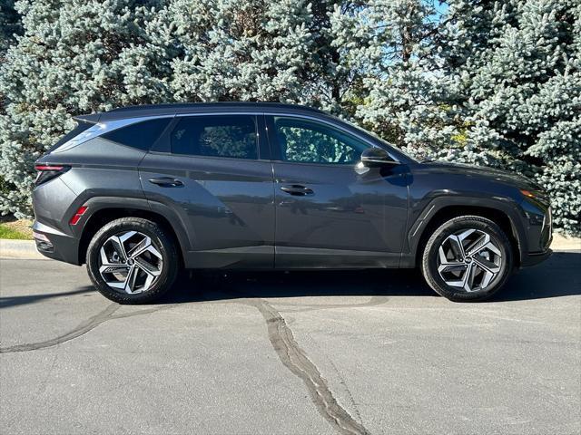 used 2024 Hyundai Tucson car, priced at $29,950