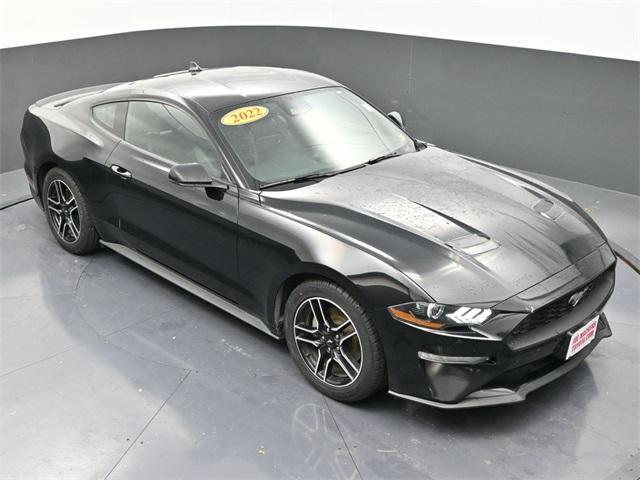 used 2022 Ford Mustang car, priced at $23,991