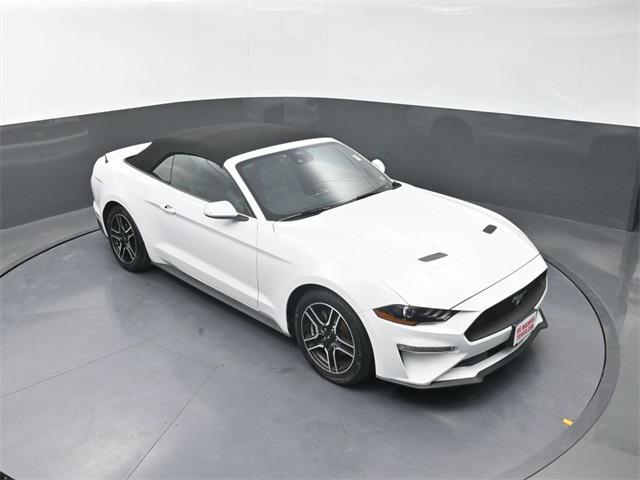 used 2023 Ford Mustang car, priced at $25,991