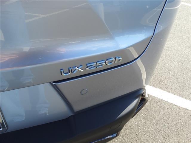 new 2024 Lexus UX 250h car, priced at $46,815