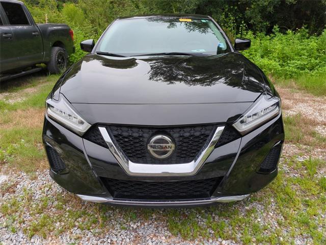 used 2019 Nissan Maxima car, priced at $15,991