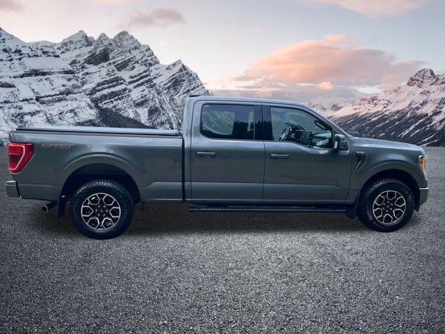 used 2023 Ford F-150 car, priced at $47,988