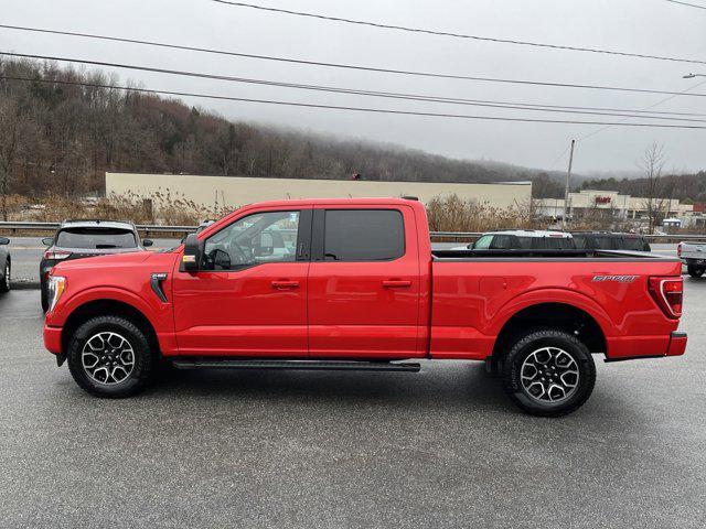 used 2023 Ford F-150 car, priced at $49,988