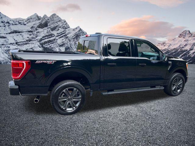 used 2023 Ford F-150 car, priced at $45,988