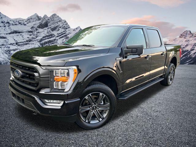 used 2023 Ford F-150 car, priced at $45,988