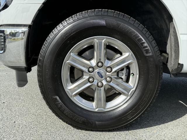 used 2024 Ford F-150 car