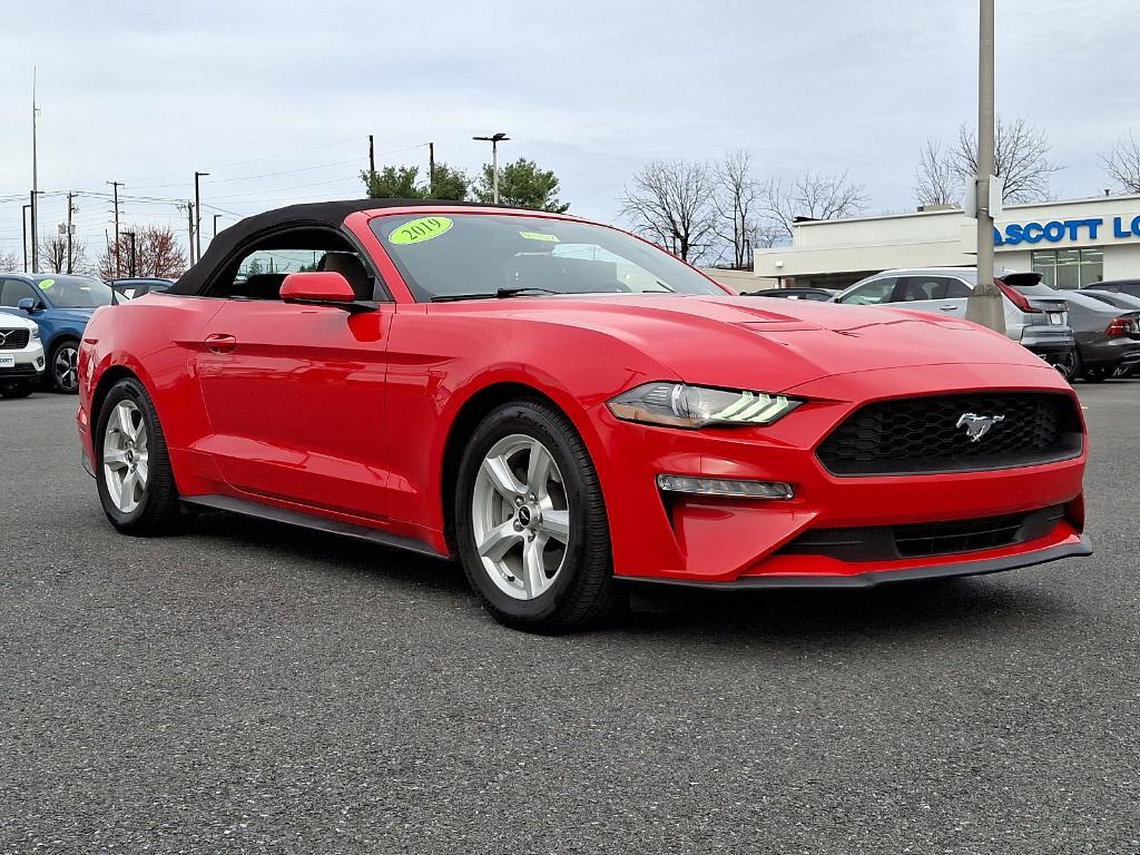 used 2019 Ford Mustang car, priced at $18,998