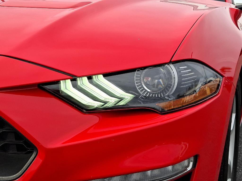 used 2019 Ford Mustang car, priced at $18,998