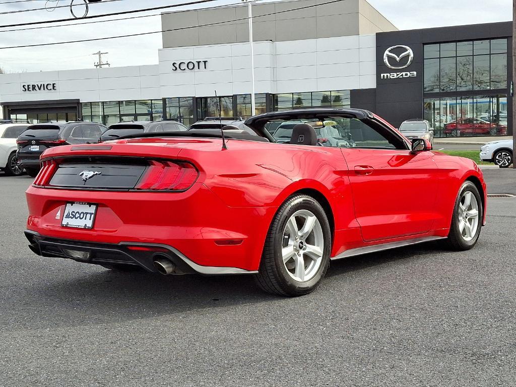 used 2019 Ford Mustang car, priced at $18,998