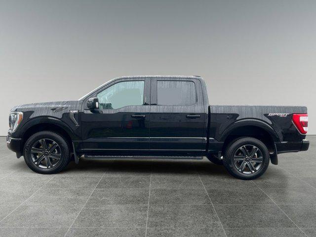 used 2023 Ford F-150 car, priced at $49,592