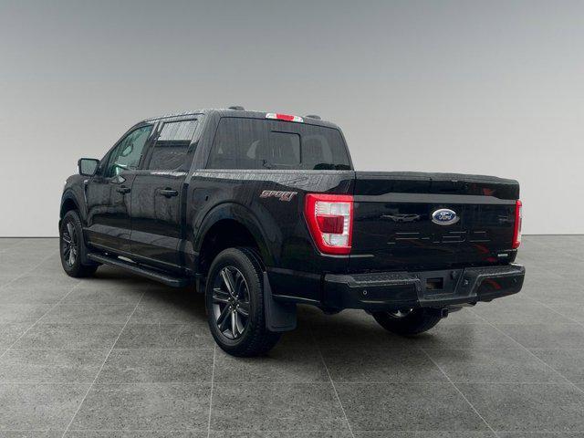 used 2023 Ford F-150 car, priced at $49,592