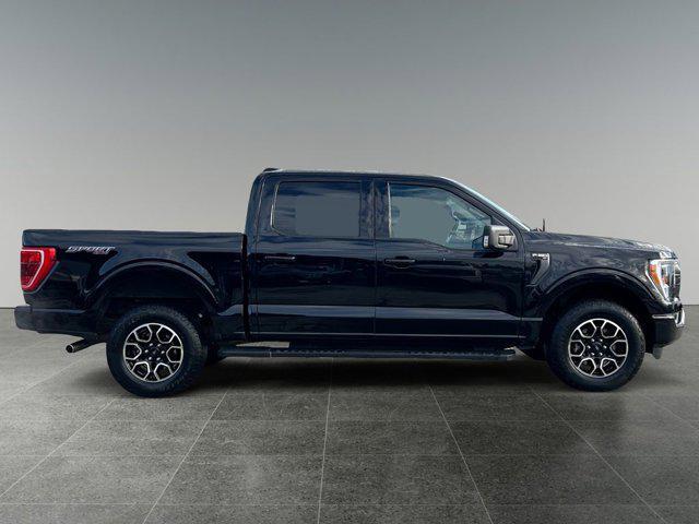 used 2023 Ford F-150 car, priced at $44,399