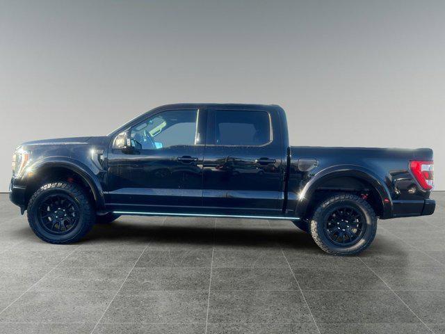 used 2023 Ford F-150 car