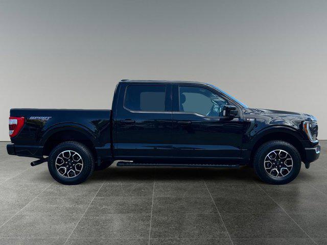 used 2021 Ford F-150 car, priced at $48,988