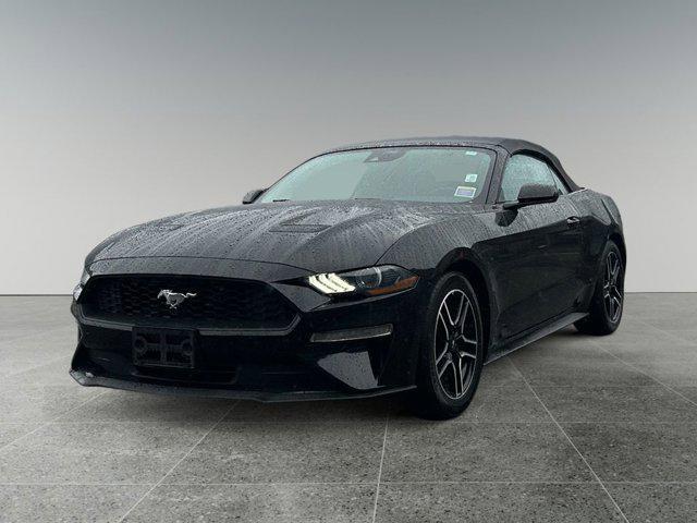 used 2023 Ford Mustang car, priced at $24,999